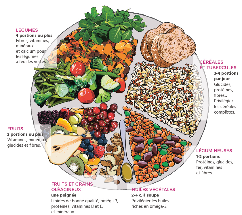 Alimentation végétalienne : toutes nos recettes de plats vegan